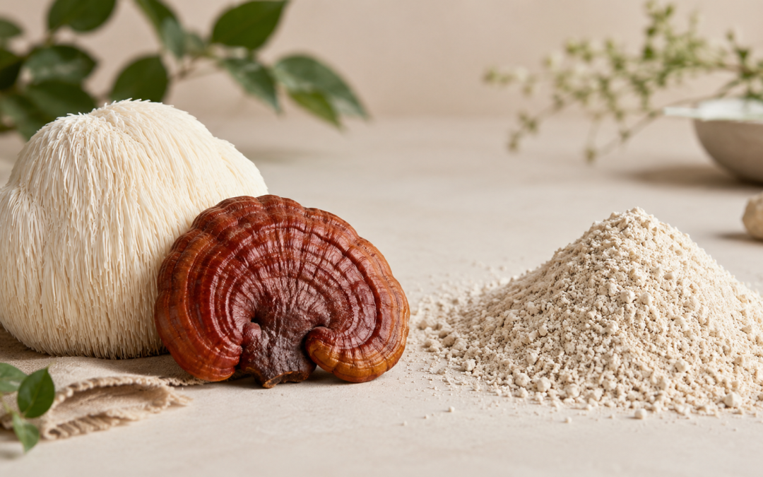 Fruiting Body vs. Mycelium: Why the Source of Your Mushroom Extract Matters