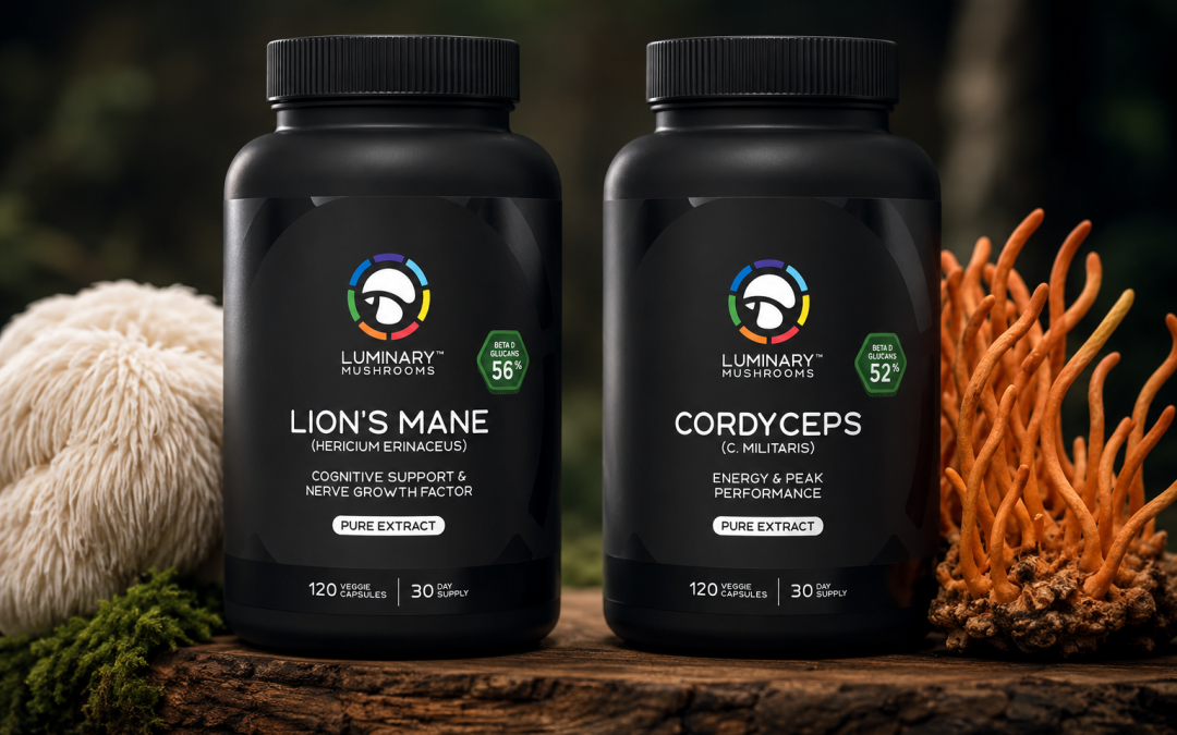 Lion’s Mane vs Cordyceps for Focus: Choose Based on Your Goals