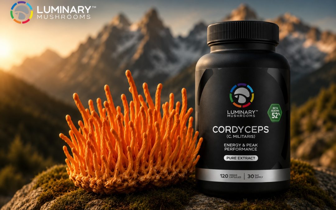 Cordyceps for Energy and Focus: What the Research Actually Says