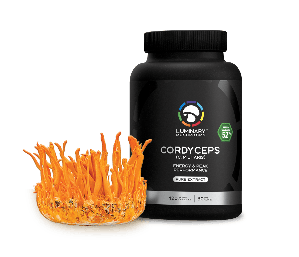 Luminary Cordyceps bottle with cordyceps mushroom