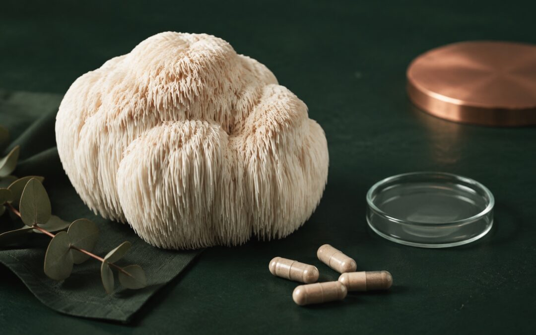 Lion's Mane fruiting body with four capsules and a glass weighing dish on a dark green surface