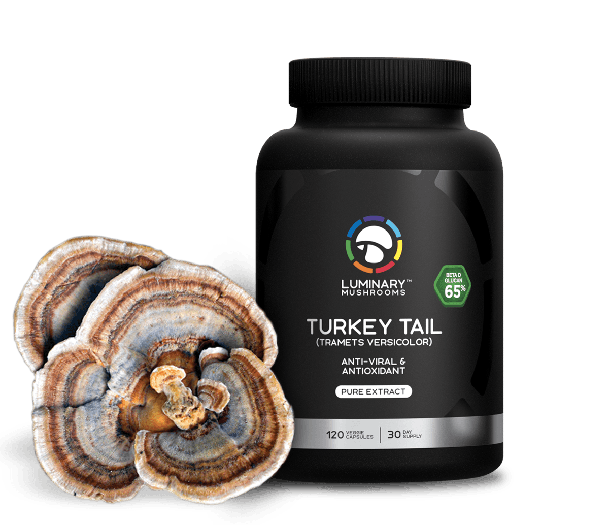 Luminary Turkey Tail bottle with turkey tail mushroom